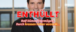 Ralf Dümmel Vermögen