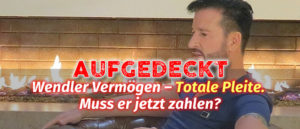 Wendler Vermögen