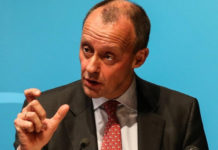 Friedrich Merz Vermögen