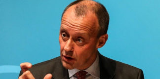 Friedrich Merz Vermögen