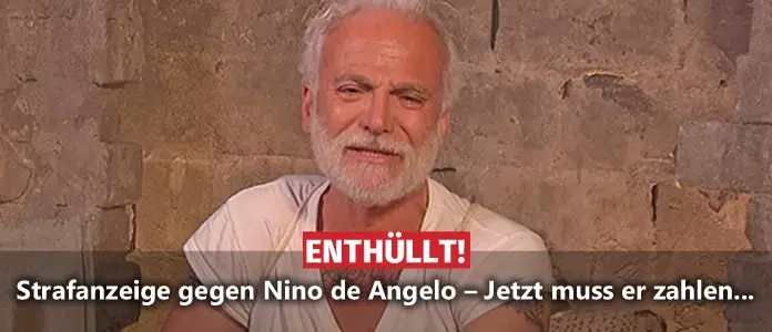Nino De Angelo Renée Gorgoglione / Nino De Angelo Renee Gorgoglione Mennyire Komoly Nino De Angelo A Hazassagrol Csillagok 2021 Er Ist Das Einzige Kind Des Italienischen Gastarbeiterehepaares Stella Und Pietro Gorgoglione Der Kunstlername Nino De - Dezember gegen 3.15 uhr früh in der landesfrauenklinik karlsruhe unter dem namen domenico gerhard gorgoglione geboren.
