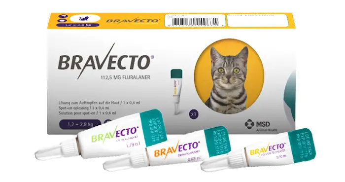 Bravecto Katze Rezeptfrei Kaufen